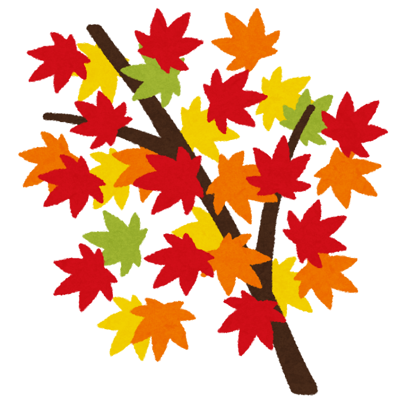 秋の風物詩 福岡市の 紅葉スポット をご紹介 福岡のかみさま
